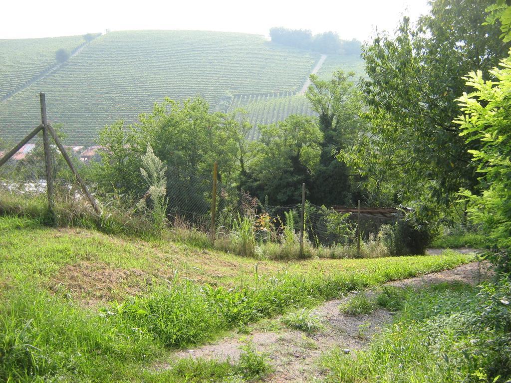 Il Borgo B&B Castellinaldo Exterior photo